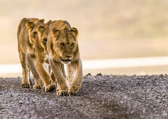 وثّق المناطق بطريقة خيالية.. كيف يبدو العالم بعيون هذا المصور؟ صورة رقم 7
