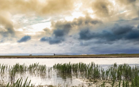 وثّق المناطق بطريقة خيالية.. كيف يبدو العالم بعيون هذا المصور؟ صورة رقم 11