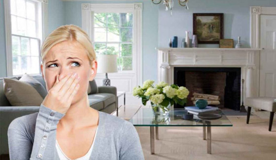 طرق للتخلص من رائحة الطعام في المنزل صورة رقم 2