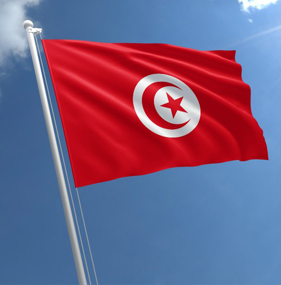 بالفيديو: كيف تغير النشيد الوطني ببعض الدول العربية بأمر الحكام الجدد؟ صورة رقم 2 بالفيديو: كيف تغير النشيد الوطني ببعض الدول العربية بأمر الحكام الجدد؟ صورة رقم 2