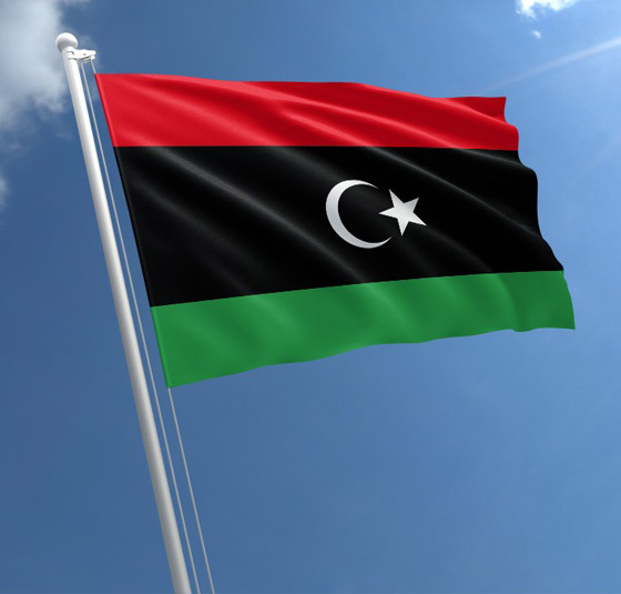 بالفيديو: كيف تغير النشيد الوطني ببعض الدول العربية بأمر الحكام الجدد؟ صورة رقم 3 بالفيديو: كيف تغير النشيد الوطني ببعض الدول العربية بأمر الحكام الجدد؟ صورة رقم 3