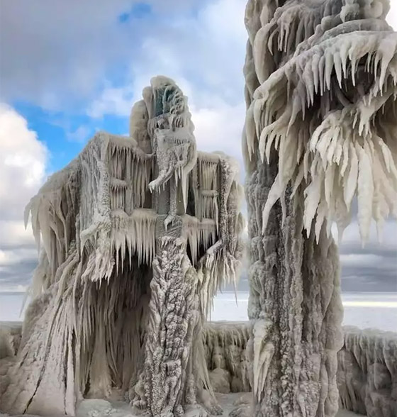 مشاهد مبهرة لأغرب الأشياء النادرة صورة رقم 3