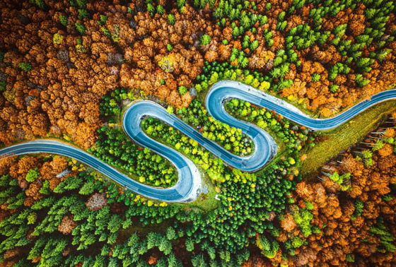 أجمل الصور الفائزة بمسابقة جوائز سوني للتصوير لعام 2020 صورة رقم 4