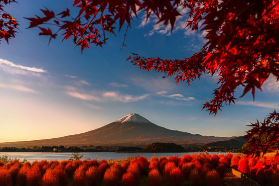 أجمل الصور الفائزة بمسابقة جوائز سوني للتصوير لعام 2020 صورة رقم 11