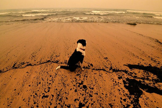 العلماء يتوقعون اختفاء نصف الشواطئ الرملية بحلول عام 2100! صورة رقم 3