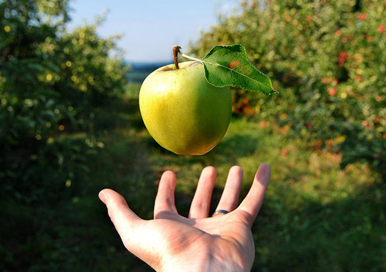 أهم الاكتشافات والاختراعات العلمية التي غيّرت مسار الإنسانية صورة رقم 2