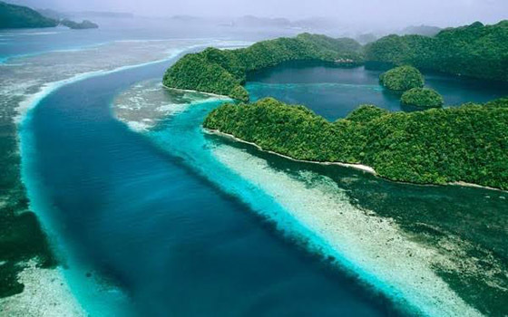  ���� ��� 1 - ���� ��� ���� 10 ��� �� ������ ����� �� ��� ���� ���� ������!