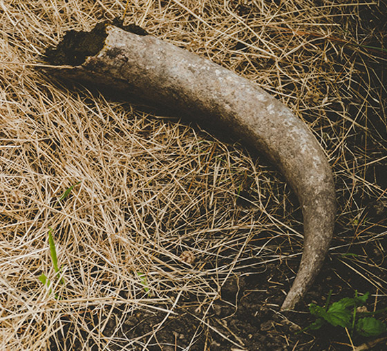 أغرب الأشياء والأمور التي يسمح أمن المطار بتمريرها! صورة رقم 1