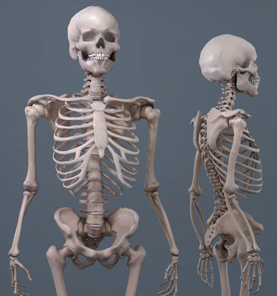 أغرب الأشياء والأمور التي يسمح أمن المطار بتمريرها! صورة رقم 2