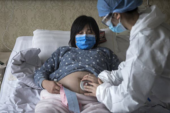 هل الحامل أكثر عرضة للإصابة بفيروس الكورونا؟ صورة رقم 1