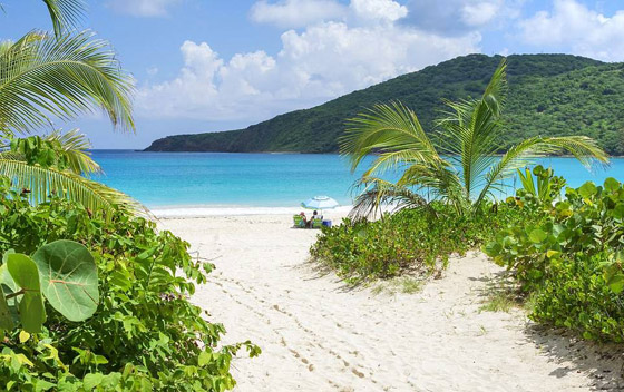 تعرّفوا إلى أفضل الشواطئ حول العالم للعام 2020 صورة رقم 15