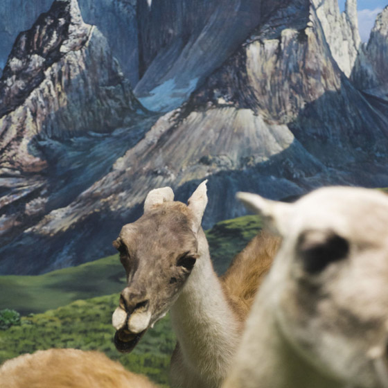 القائمة القصيرة لجوائز سوني العالمية للتصوير في فئتي الطلاب والشباب صورة رقم 1