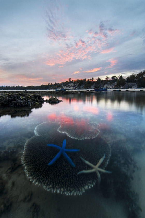 القائمة القصيرة لجوائز سوني العالمية للتصوير في فئتي الطلاب والشباب صورة رقم 7
