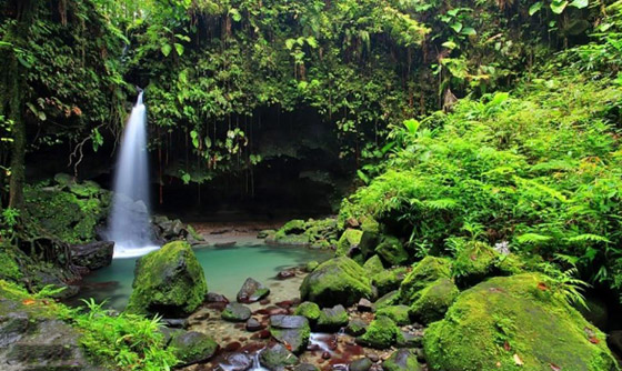 بالصور: 7 وجهات سياحية مثيرة يمكنك استكشافها سيرا على الأقدام صورة رقم 6