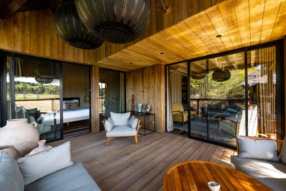 فندق إنكليزي يمنح رواده فرصة الاستيقاظ على مشاهدة الأفيال والفهود (صور) صورة رقم 5