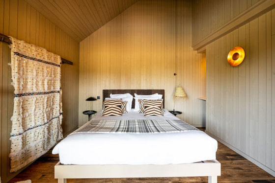 فندق إنكليزي يمنح رواده فرصة الاستيقاظ على مشاهدة الأفيال والفهود (صور) صورة رقم 6