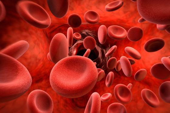 فقر الدم.. تعرفوا إلى طرق الوقاية والعلاج صورة رقم 7