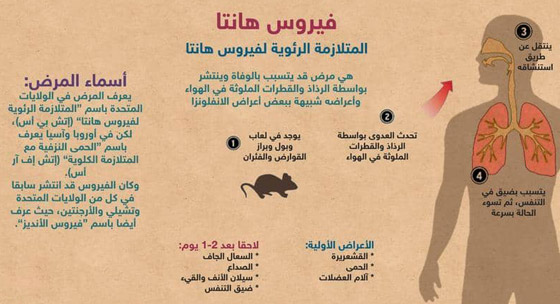 بعد إعلان الصين عن حالة وفاة.. كل ما تريد معرفته عن فيروس هانتا! صورة رقم 1 بعد إعلان الصين عن حالة وفاة.. كل ما تريد معرفته عن فيروس هانتا! صورة رقم 1
