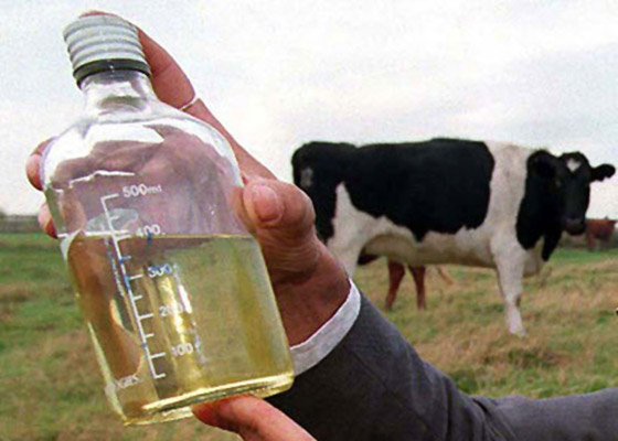 5 خرافات هنديه عن علاج فيروس كورونا صورة رقم 4