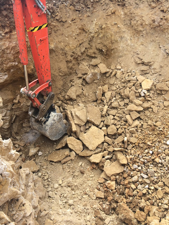 فيديو وصور.. بريطاني يتحصن من كورونا في مكان لا يخطر على بال! صورة رقم 8