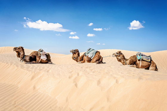 من عجائب الطبيعة.. إليكم أجمل 6 صحاري في العالم لن تصدق وجودها صورة رقم 2