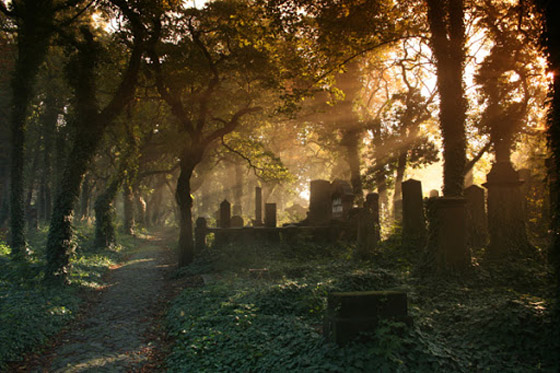 بلدة فرنسية تمنع الوفاة على أرضها في نهاية الأسبوع! صورة رقم 7