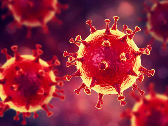 مجرمون يبيعون دماء المتعافين من فيروس كورونا عبر الإنترنت المظلم صورة رقم 22