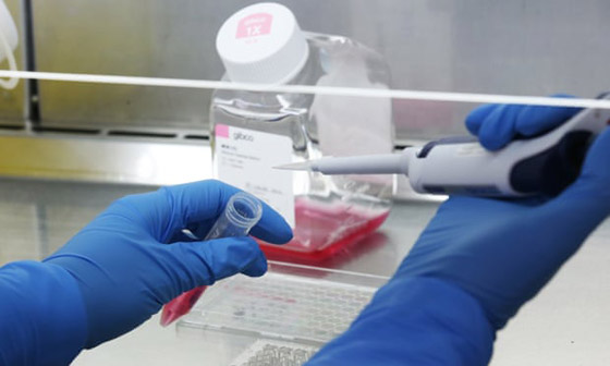 مجرمون يبيعون دماء المتعافين من فيروس كورونا عبر الإنترنت المظلم صورة رقم 18