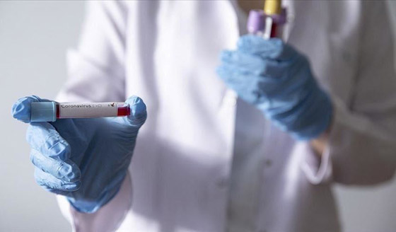 مجرمون يبيعون دماء المتعافين من فيروس كورونا عبر الإنترنت المظلم صورة رقم 19