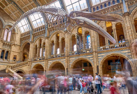 متاحف يمكنك زيارتها من منزلك في العزل الصحي صورة رقم 4