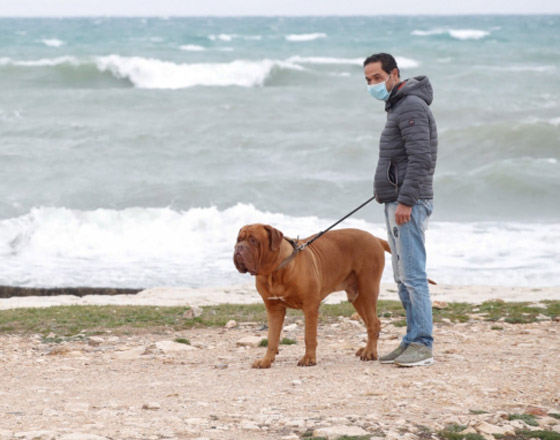 أعذار غريبة وذكية اختلقها إيطاليون للخروج من منازلهم خلال الحجر صورة رقم 2