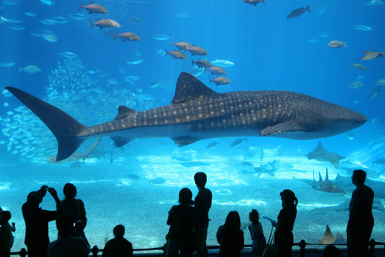 وأنت جالس في منزلك.. إليك أفضل 7 رحلات افتراضية مجانية حول العالم صورة رقم 2