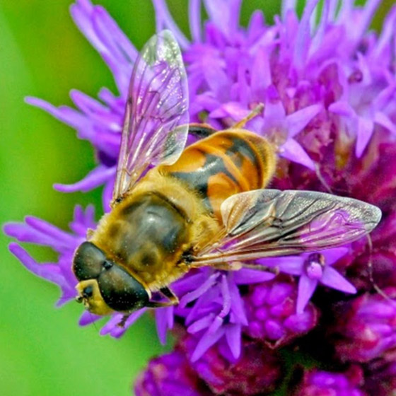 وأنت جالس في منزلك.. إليك أفضل 7 رحلات افتراضية مجانية حول العالم صورة رقم 7