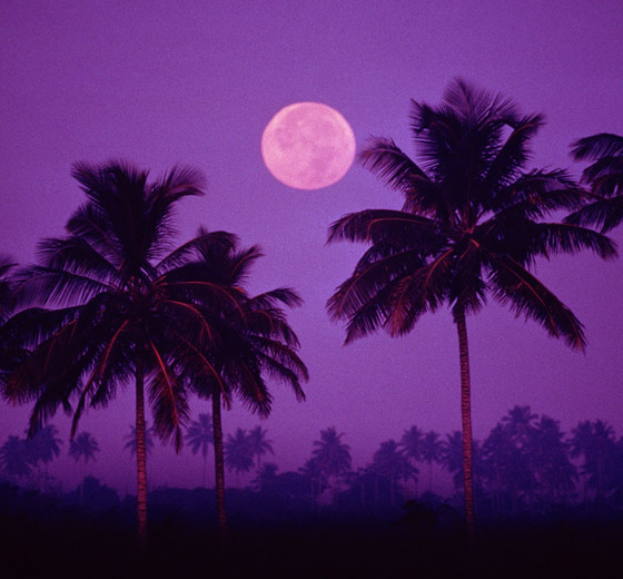 لا يظهر إلا مرة واحدة بالسنة.. استعد لالتقاط صور القمر الوردي العملاق صورة رقم 4