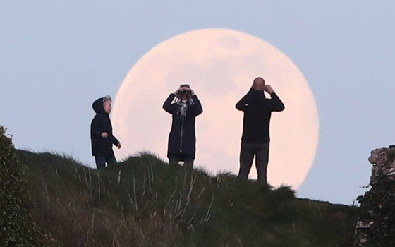 ظهور القمر الوردي بأبهى حلله.. أول بدر وظاهرة فلكية خلال الربيع! صور صورة رقم 13