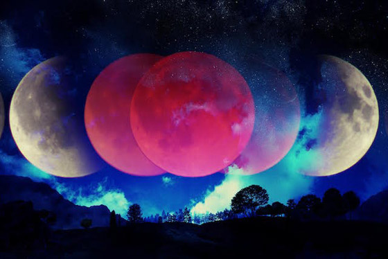 ظهور القمر الوردي بأبهى حلله.. أول بدر وظاهرة فلكية خلال الربيع! صور صورة رقم 15