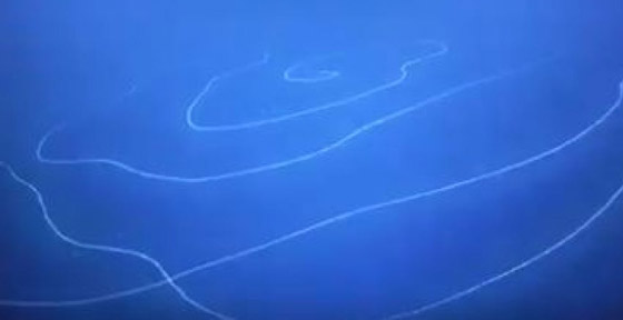 بحجم مبنى مكون من 11 طابقا.. رصد مخلوق غريب عملاق بقاع المحيط صورة رقم 3