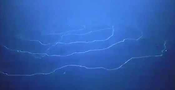 بحجم مبنى مكون من 11 طابقا.. رصد مخلوق غريب عملاق بقاع المحيط صورة رقم 6