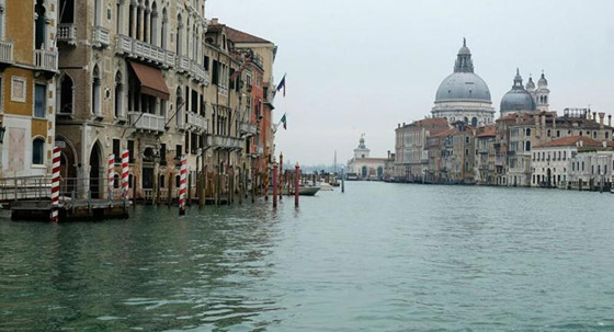 إيجابيات كورونا تقود العالم نحو الأفضل صورة رقم 6