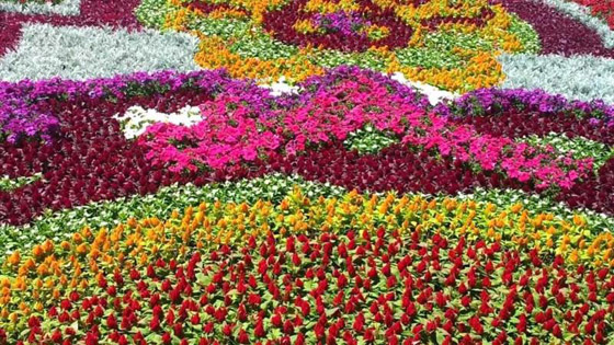 أبريل شهر الورود فاحت منه رائحة المعقمات صورة رقم 2