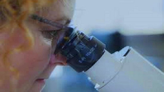 علماء فرنسيون درسوا كورونا ففاجأهم بقدرة لم يتصوروها صورة رقم 1