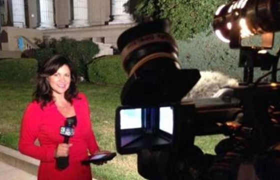 أمام الكاميرا.. مراسلة تقع في موقف محرج بسبب العمل من المنزل صورة رقم 3