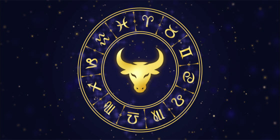 كل ما تريد معرفته عن 