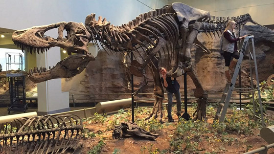 بالصور: إليكم أجمل 5 متاحف طبيعية للديناصورات حول العالم صورة رقم 3