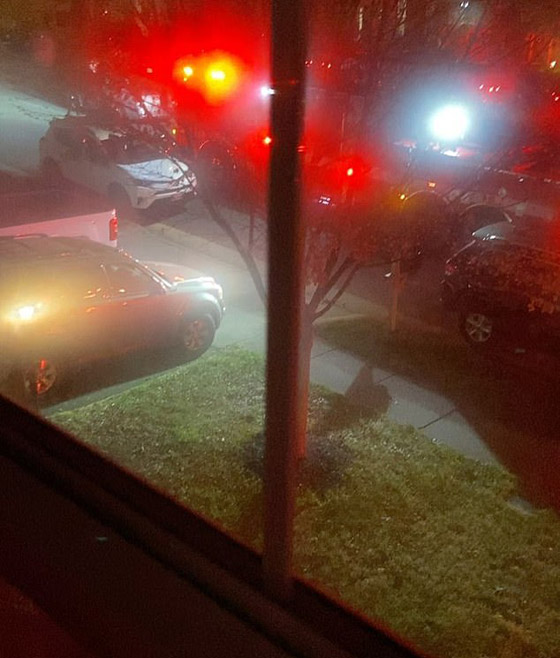 بسبب ملل كورونا.. فتاة أمريكية تعلق داخل غسالة ملابس! صورة رقم 5