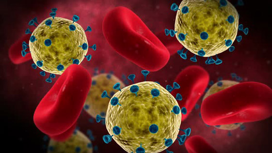 مجرمون يبيعون دماء المتعافين من فيروس كورونا عبر الإنترنت المظلم صورة رقم 7