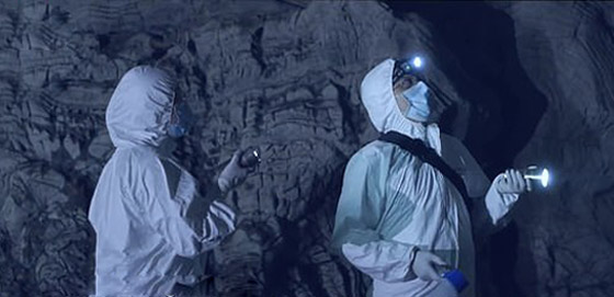 في معهد ووهان.. معهد كورونا المشبوه يحذف صور العلماء والخفافيش! صورة رقم 5