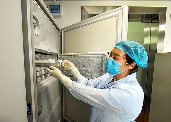 في معهد ووهان.. معهد كورونا المشبوه يحذف صور العلماء والخفافيش! صورة رقم 7