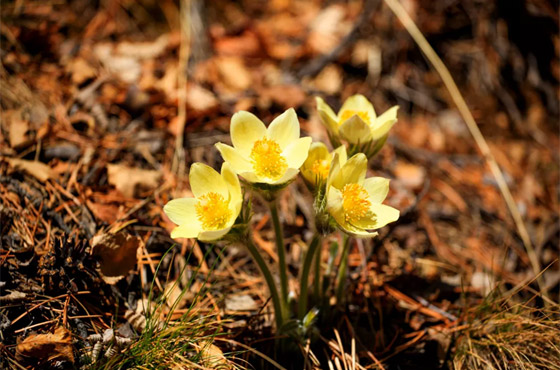 وسط جائحة كورونا.. بحيرة بايكال الروسية جميلة كعادتها! صور صورة رقم 10