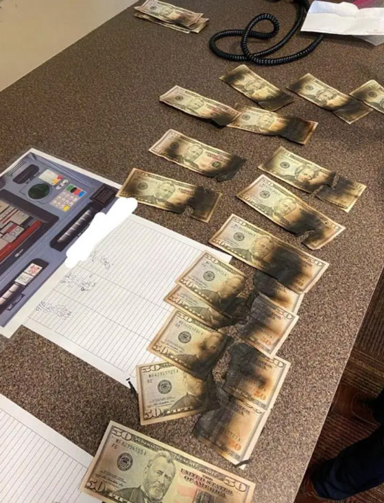  فيديو وصور: امريكي يضع 730 دولار في المايكرويف ليقتل كورونا فحرقها! صورة رقم 4